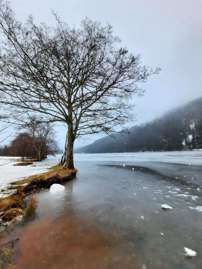 Au Cœur Des Lacs - D'hôtes&spa