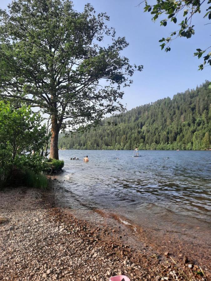 Au Cœur Des Lacs - D'hôtes&spa Gérardmer